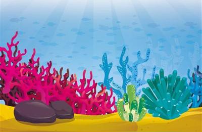 为何我们要进行珊瑚的种植？