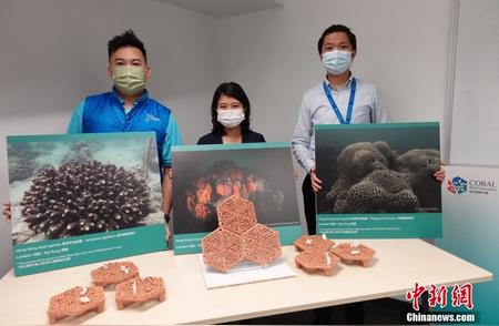 香港科技助力珊瑚保育：活化本地生态的探索