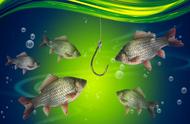 鱼线挡口之争：科学实验与钓鱼人经验，哪个更有说服力？