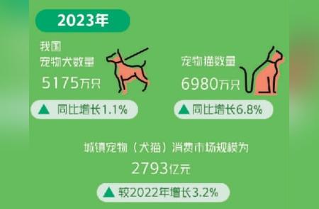 1.2亿只宠物的消费力量：揭秘市场真实规模