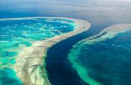 外媒警示：大堡礁珊瑚白化现象加剧，自然奇观面临消失危机