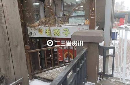 宠物酒店入住小区，噪音问题引发热议