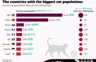 中国宠物猫数量领先，但幸福指数如何？
