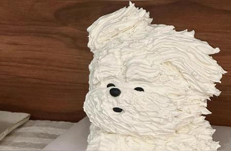 风中凌乱的狗狗蛋糕设计：可爱到让人无法抗拒