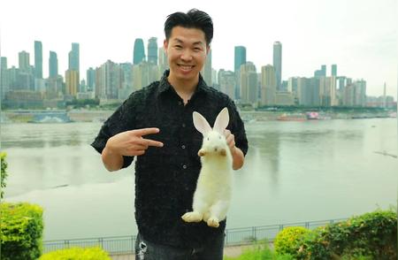 揭秘兔子的可爱世界：了解兔子的习性与养护技巧
