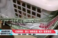 北京“宠物盲盒”背后的真相：坑买家与残害小动物的双重恶行
