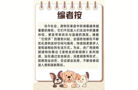 探索杭州：宠物友好商场购物新体验