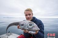 挪威男子深海钓出未知怪鱼，引发网络热议