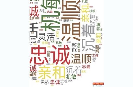 揭秘导盲犬培训：50多项训练，淘汰率高达55%