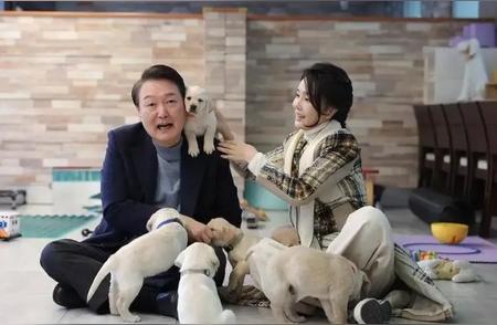 韩国宠物市场大热：超越婴幼儿的消费新势力