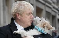 揭秘英国首相的超级宠物狗：不仅仅是陪伴，还是耐力超群的警犬