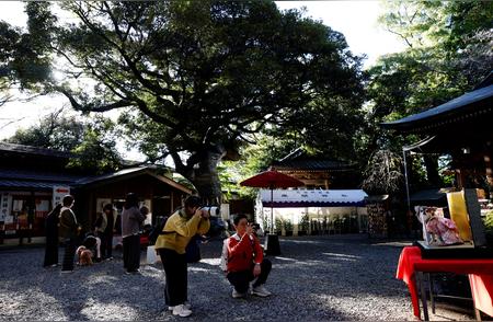 日本宠物狗儿童节：了解“七五三”的传统与乐趣