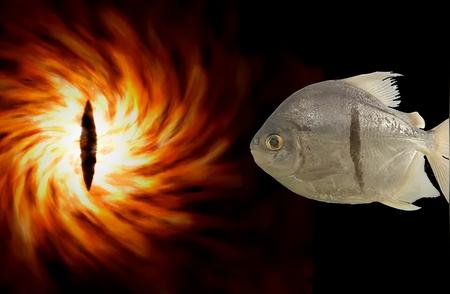 亚马逊河惊现神秘新型食人鱼：人类牙齿、索伦之眼标记傍身