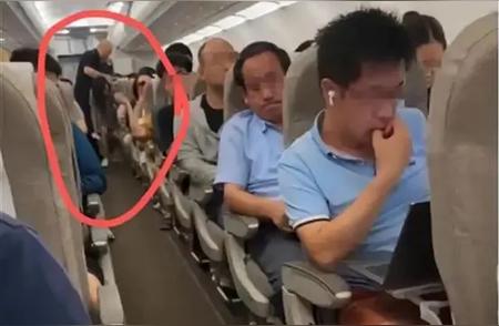 上海飞往济南航班突发宠物逃逸事件，引起广泛关注