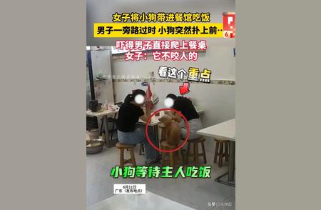 广东宠物餐厅惊现冲突事件！男子意外遭遇惊险瞬间