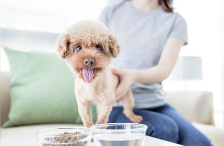 揭秘国内最大猫狗零食商上市背后的故事