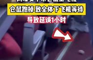上海女子带仓鼠登机引发争议