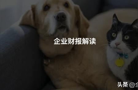 中国上市宠物企业最新财报解读与分析