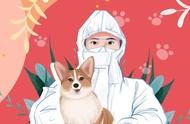 深圳建成全国首个涉疫宠物托管中心，动物福利再升级
