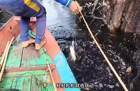 渔民用简单竹竿在热带雨林中钓取雷龙鱼的奇妙经历