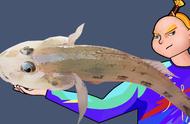 揭秘广东的神秘鱼种：太阳鱼与不知名的美味