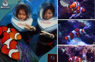 探索大堡礁：海底寻宝之旅寻找小丑鱼“尼莫”