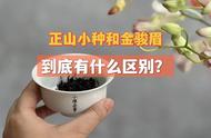 正山小种和金骏眉，哪个才是红茶的巅峰之作？