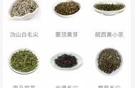 探索黄茶的世界：六大茶类中的瑰宝