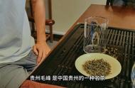 贵州毛峰茶：品味中国茶文化的精髓