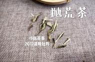 掌握一篇文章，轻松应对白茶、岩茶、普洱茶、绿茶和红茶的品鉴挑战