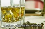 乌龙茶的冲泡技巧与鉴赏指南