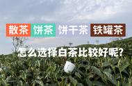 白茶散茶、饼干茶、饼茶：哪些更适合饮用，哪些更适合收藏？