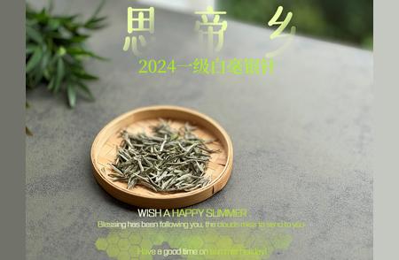 白毫银针意外受潮，该如何挽回？