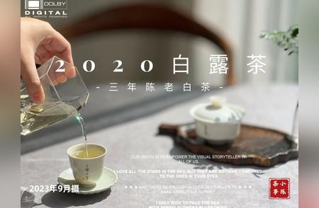 探索泡茶的真谛：好茶与烂茶的不同泡法