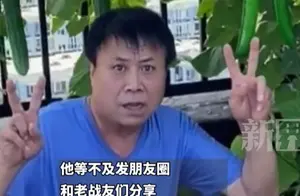 爸爸退休后的种菜生活：假黄瓜背后的故事