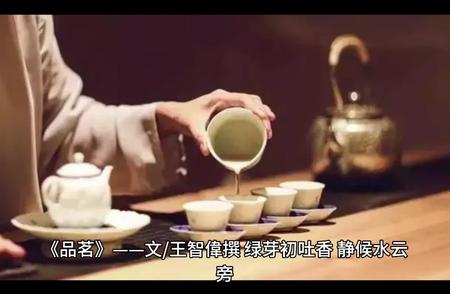 《品茗》杂志全新一期出炉！品读茶文化的魅力。