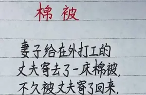 棉被的秘密：为什么懂它的人才是真正的专家？