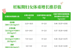 探索健康体重的秘密：标准与维持方法全解析