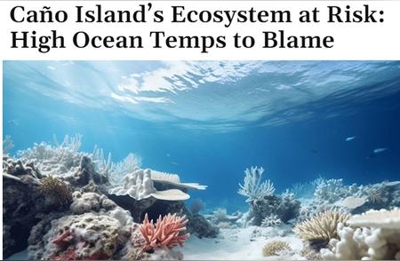 厄尔尼诺现象引发生物保护区珊瑚白化，生态环境遭受重创