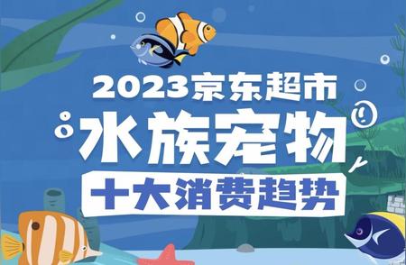 水族宠物市场新动向：观赏鱼成为最热门选择，80、90后占比超过70%