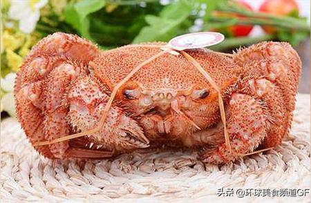 四种顶级美味螃蟹，全尝过的堪称土豪，你品尝过几种？