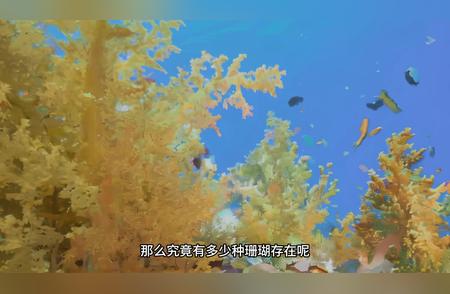珊瑚的种类究竟有多少？