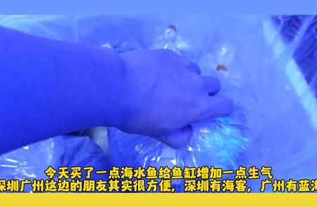 开箱体验：海水鱼与海缸的完美结合