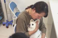 京巴犬在医生的注射下表现出小孩般的恐惧，令人心疼