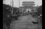 百年前珍贵影像揭秘：中华田园犬的真实面貌