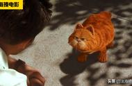 加菲猫：一只贪吃懒做的胖猫，为救狗狗，勇敢地挑战火车