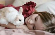 养兔需谨慎，家养兔子寿命长达八年