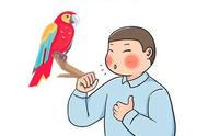 鹦鹉热：一种神秘的疾病，遛鸟儿是否安全？