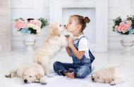 为孩子挑选最适合的小型犬：一份详尽指南