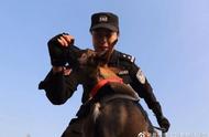 北京六只警用克隆犬正式加入警队，一睹它们的英姿